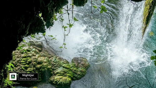 Lieblingsproduzent:in